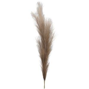 Pampas artificiale, marrone, 100 cm